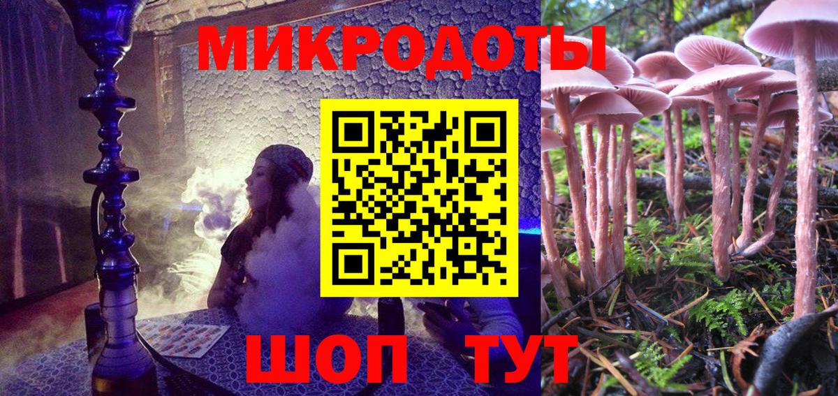 Галлюциногенные грибы Psilocybe Орёл